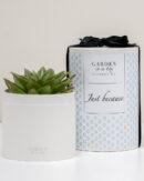 JUST BECAUSE SINGLE WHITE REGULAR GARDEN